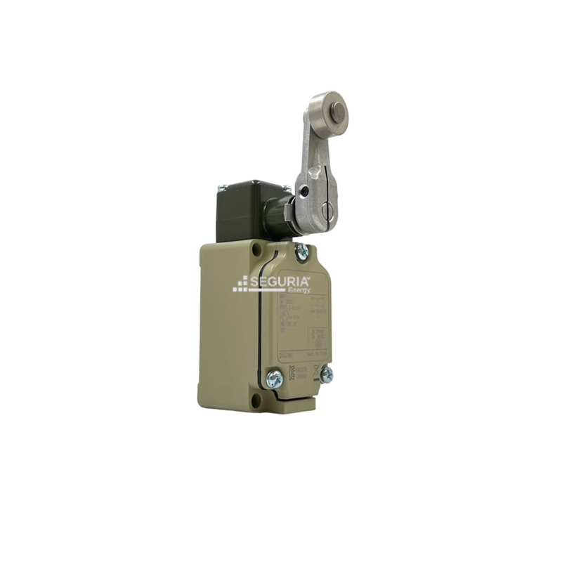 Final de carrera SN3110 palanca de rodillo 10A 250VAC 1NO 1NC Switch Limit roller lever Snergy